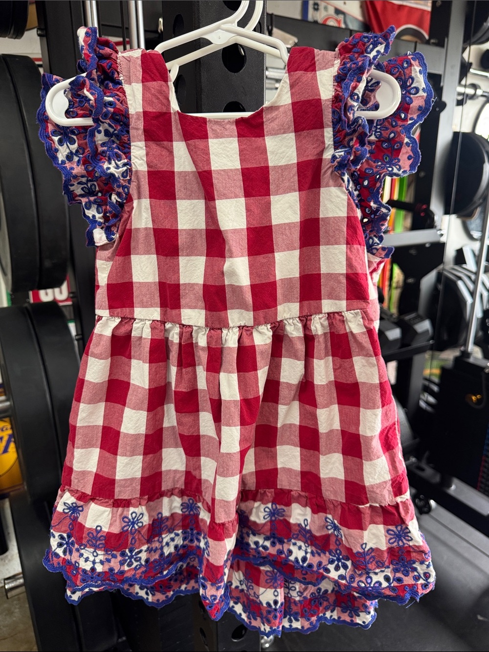 Gymboree Red & White Gingham Toddler Dress with Blue Embroidered Ruffle